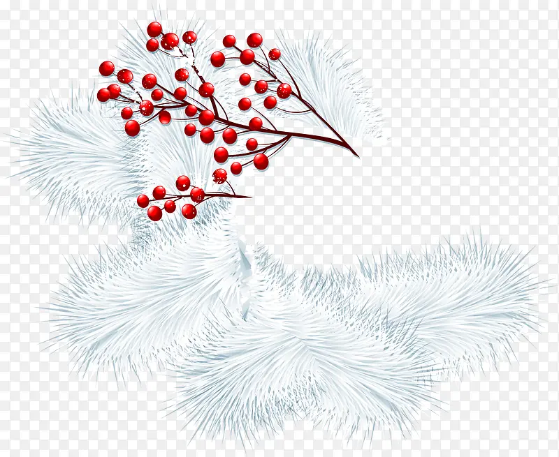 ʥ���ڶ�����֦-������