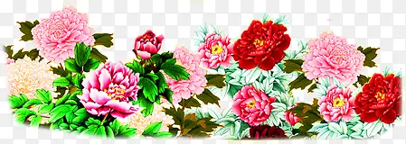 ��ɫ�Ļ�Ⱥ�����ز�-������