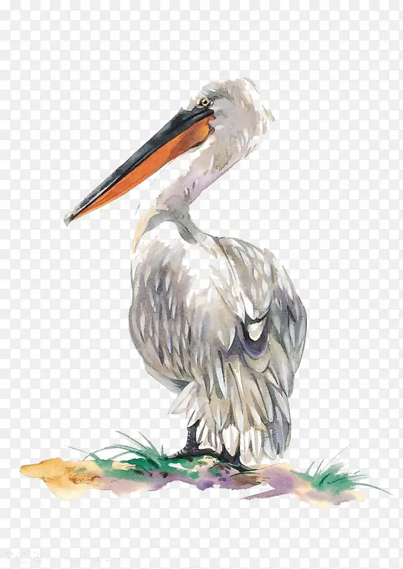 ˮ�ʰ׺�-������