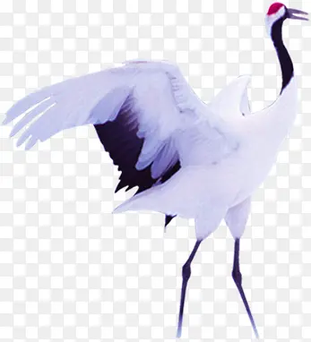 ����ɺ��ſ����-������