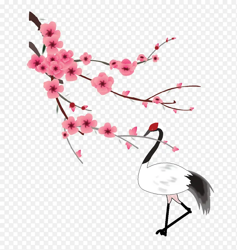 �ɺ�-������