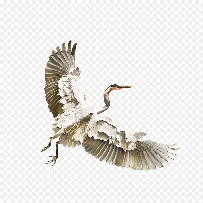 ��-������