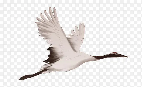 ������ɺװ�ɫ-������