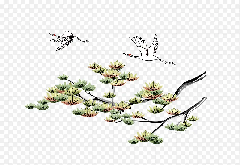 ��֦-������