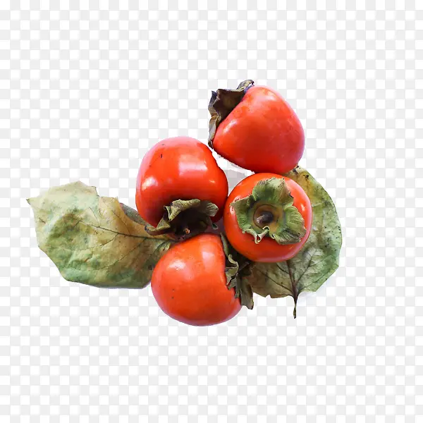 ˮ������-������