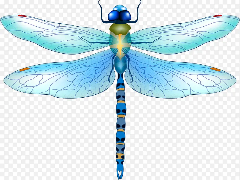 ����ɫ����-������