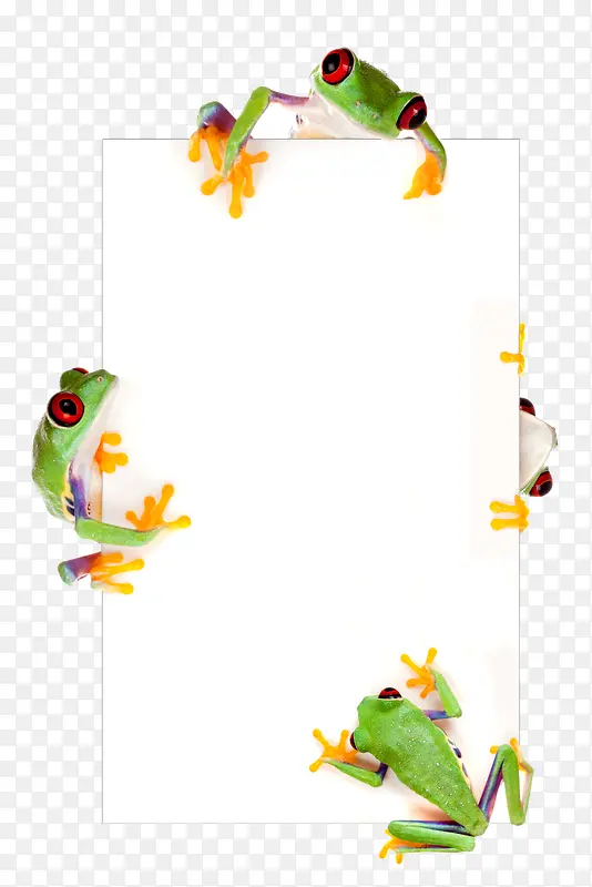 ����������,-������