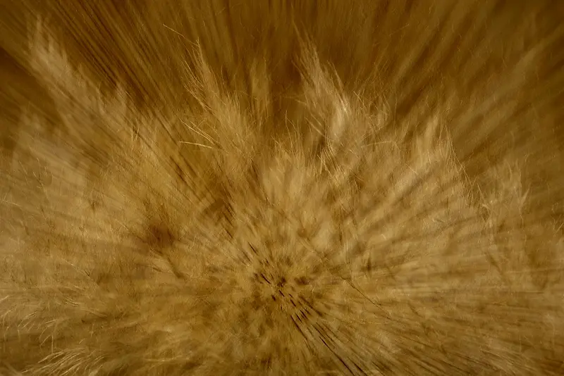 ��ɫ���䱳��-������