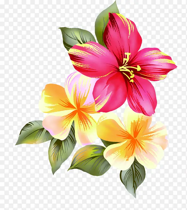 ��ɫ����������-������