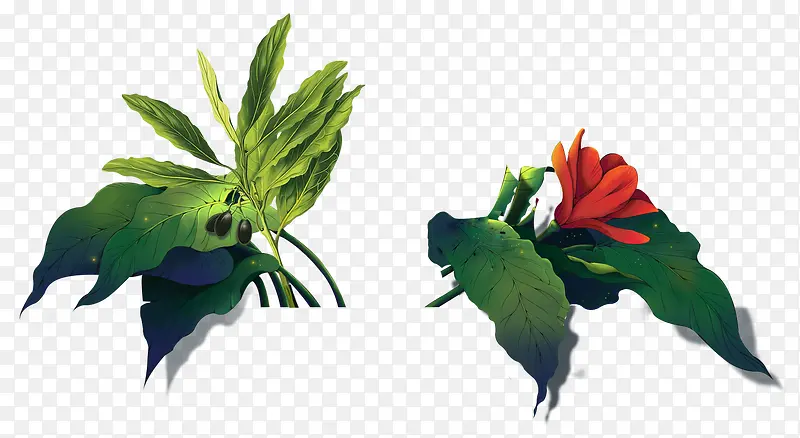 ֲ��-������