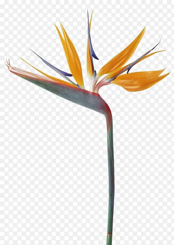 ��-������