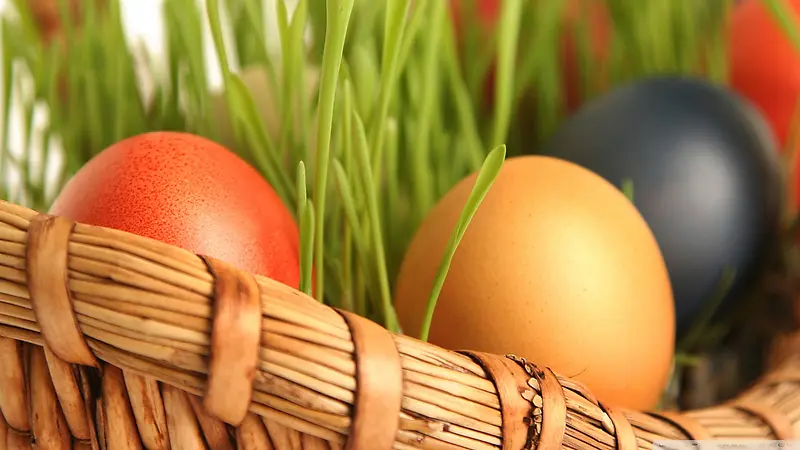 ��ɫ����Բ������-������