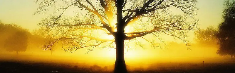 ����Ȼ�����ز�ɽˮ�ز�-������