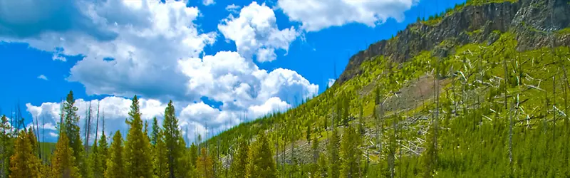 ����Ȼ�����ز�ɽˮ�ز�-������