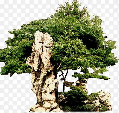 ��ɽ������԰����-������