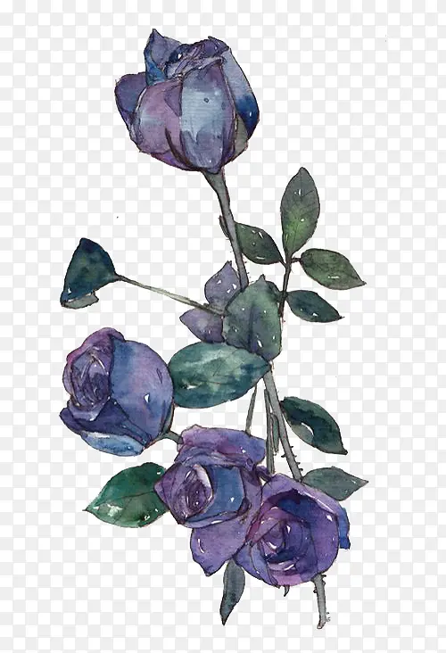 ˮ���ʻ�-������