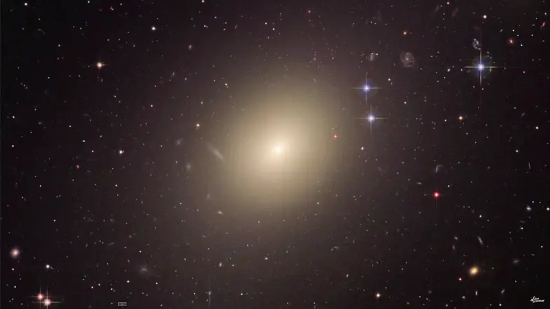 ��ɫ�ǿ������ֽ-������