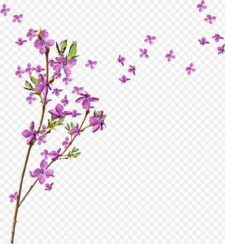 �ϻ�-������