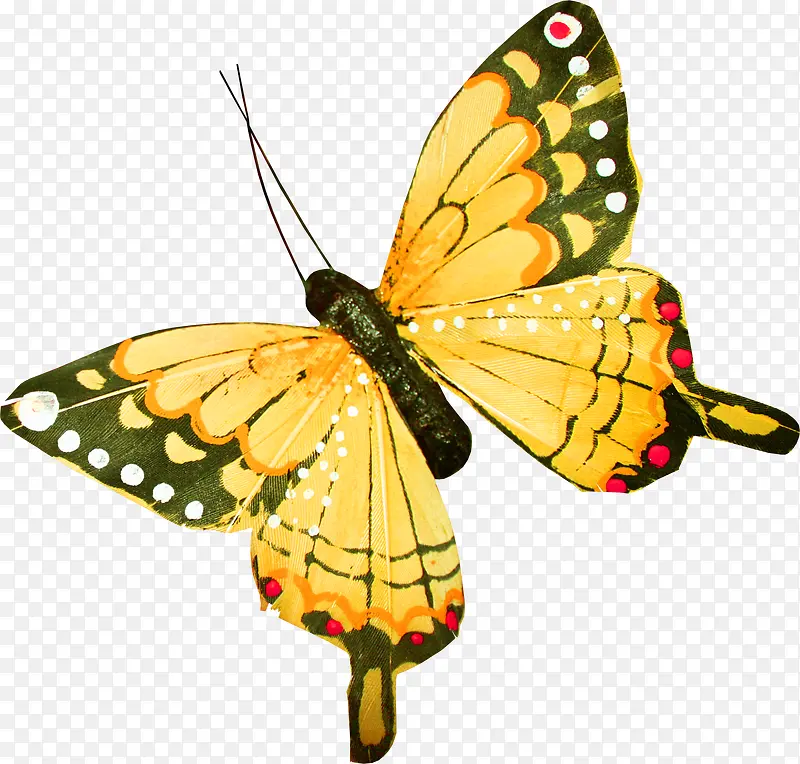 ��ɫƯ��������-������