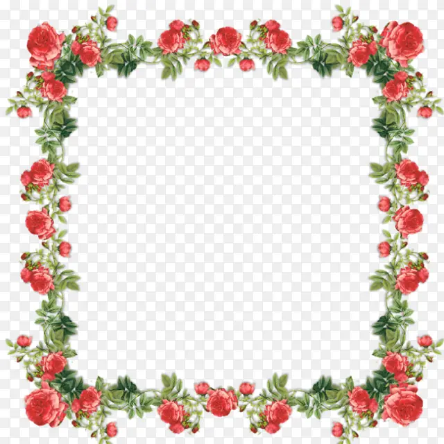 õ�廨�߿�-������