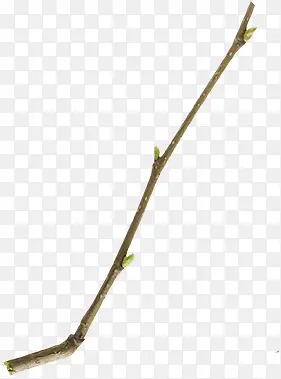 ϸ֦��-������