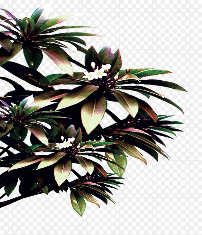 ������-������