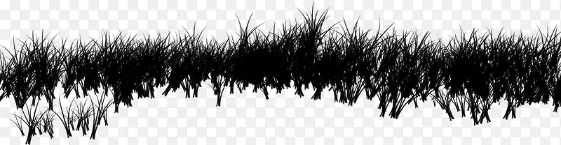 ��-������