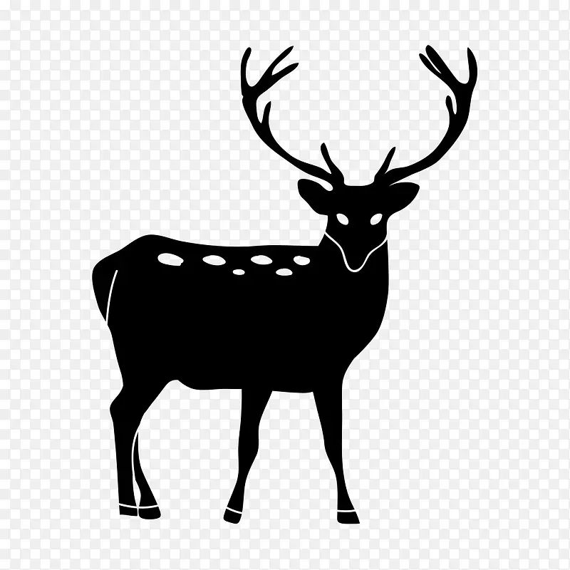 �����Ӱ-������