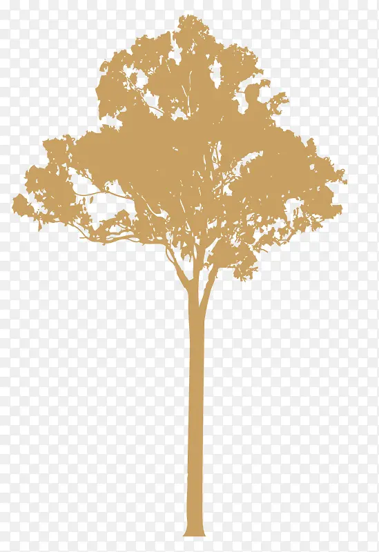 �� ��������Ӱ-������