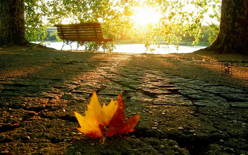 ��Ҷ��������С��-������