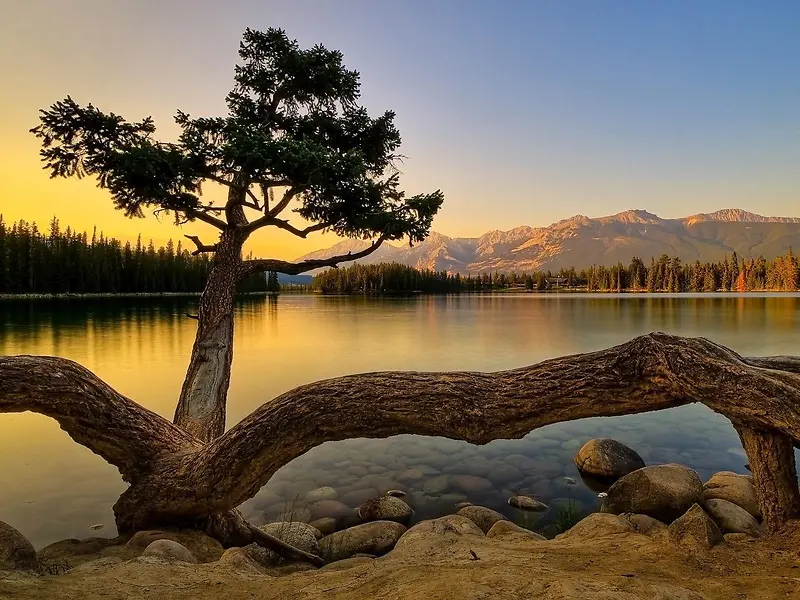 Ұ���������С��-������