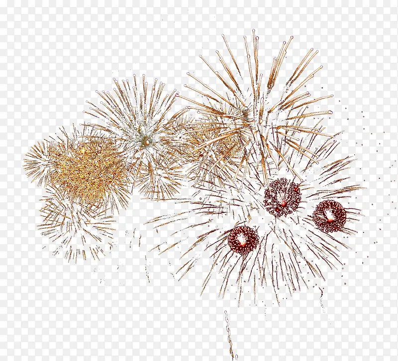 ��ɫ��ͨѤ���̻�-������