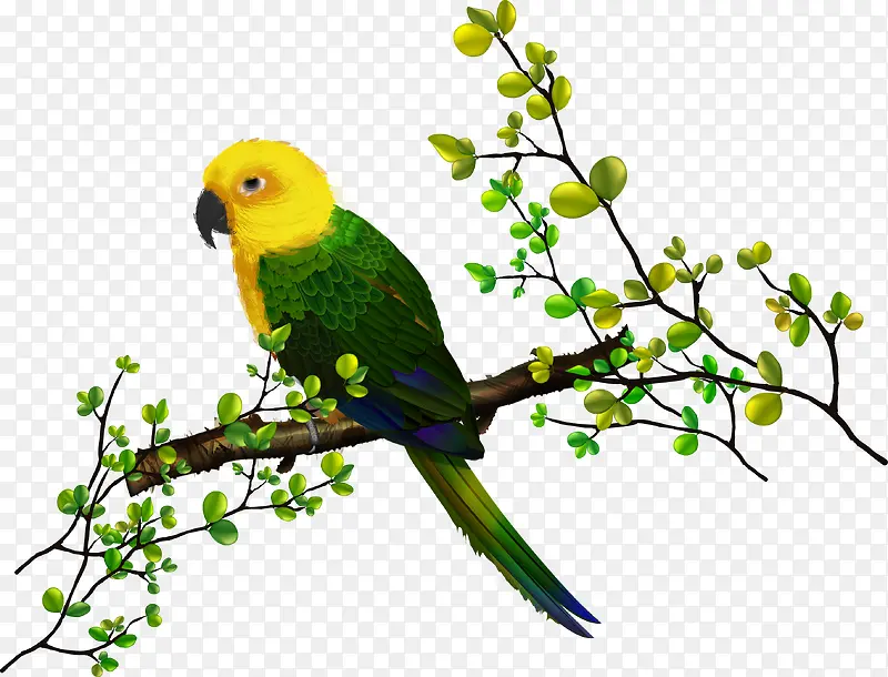 ������֦-������