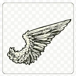 չ���ĳ��-������