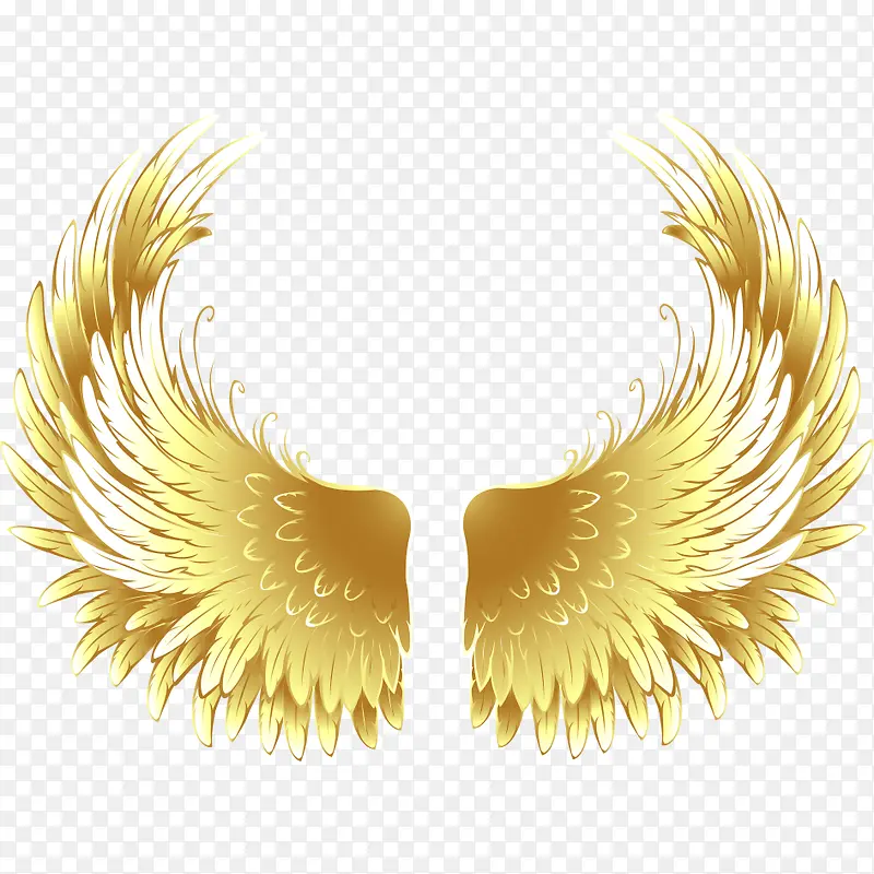 ����ز�-������