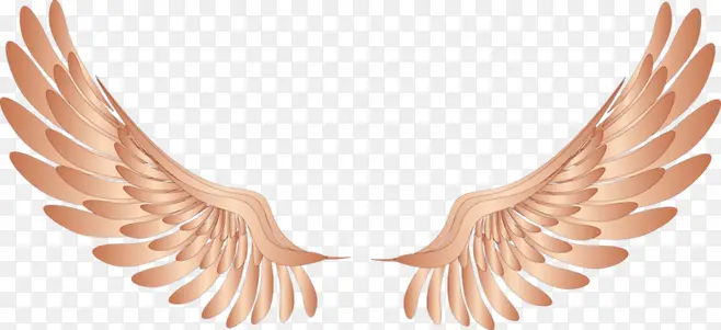 ��ʹ�ĳ��-������