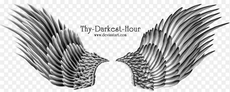 ��� ��ʹ�ĳ�� ʵ��-������