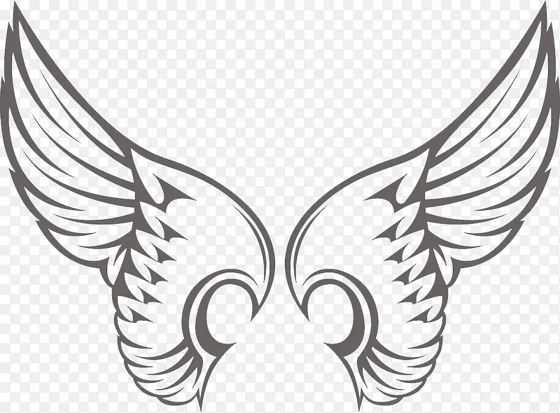 ��ɵĳ��-������