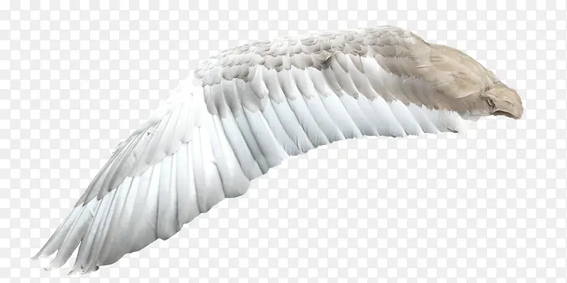 ��ʹ���-������