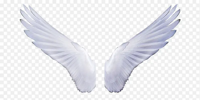 ��ʹ���-������