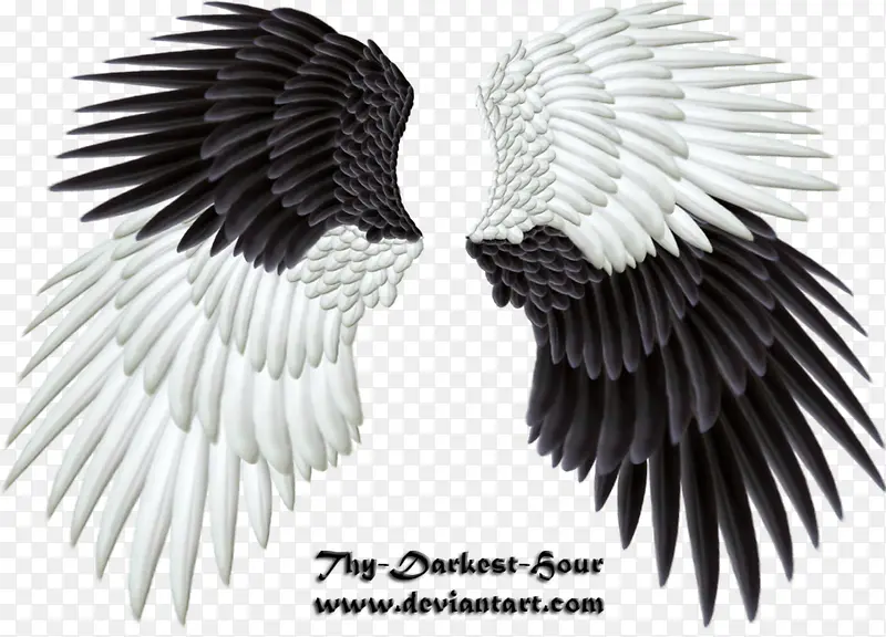 ��� ��ʹ�ĳ�� ʵ���� ��-������