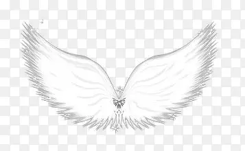 ��׵���ʹ���-������