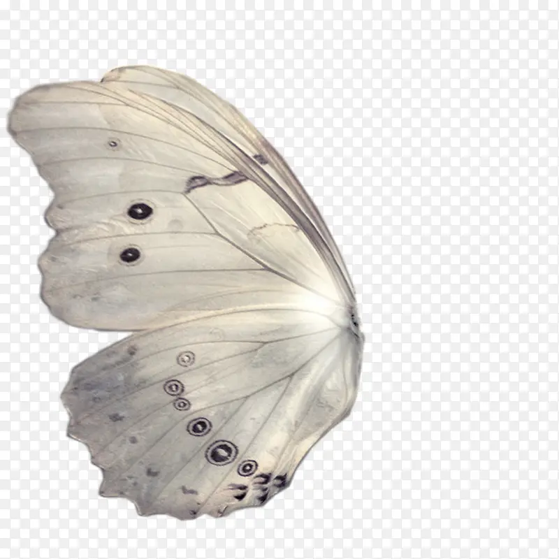 ���-������