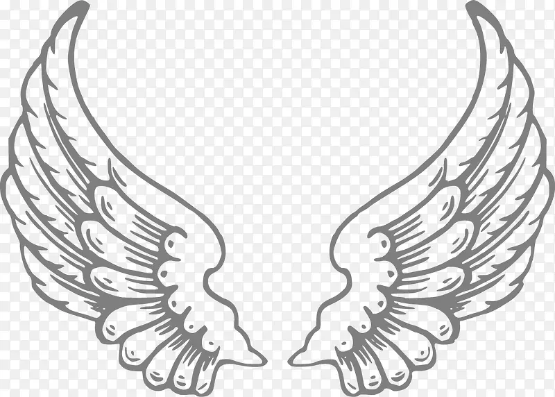 ��ʹ�ĳ��-������