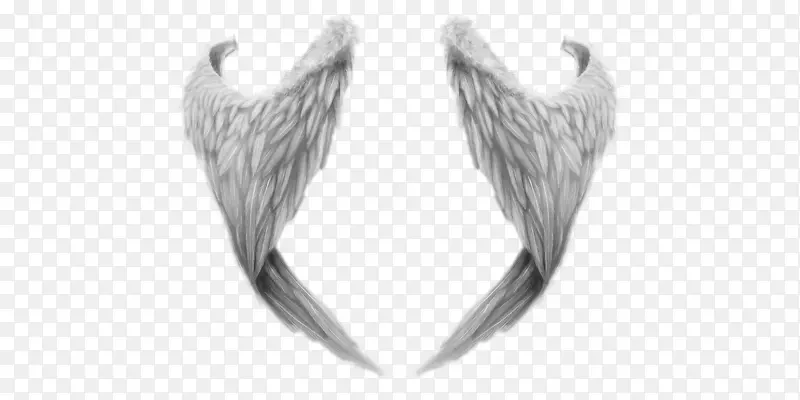 ��ɫ����ʹ���-������