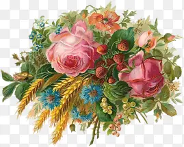 ��ͨ��ʸ��ͼ�ֻ滨ͼƬ-������