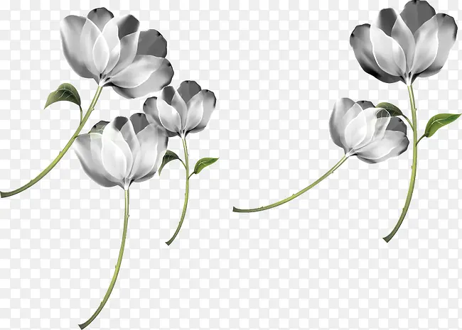 ��ͨ�ֻ��λû�-������