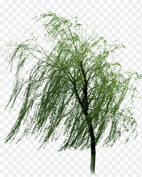 ���������Ӱ�ڷ��з��������-������