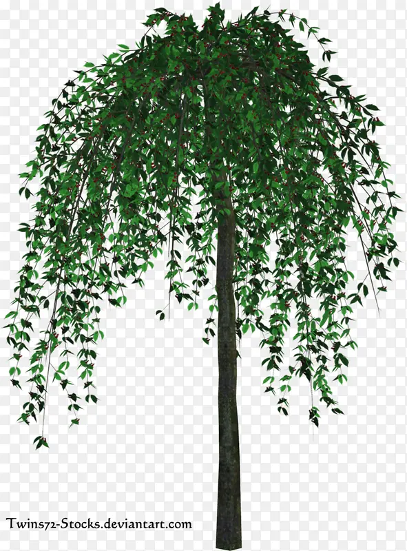 ��ɫ������������-������