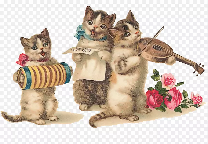 �ؿ��ͱ�����è����Сè������-����Ƭ-������